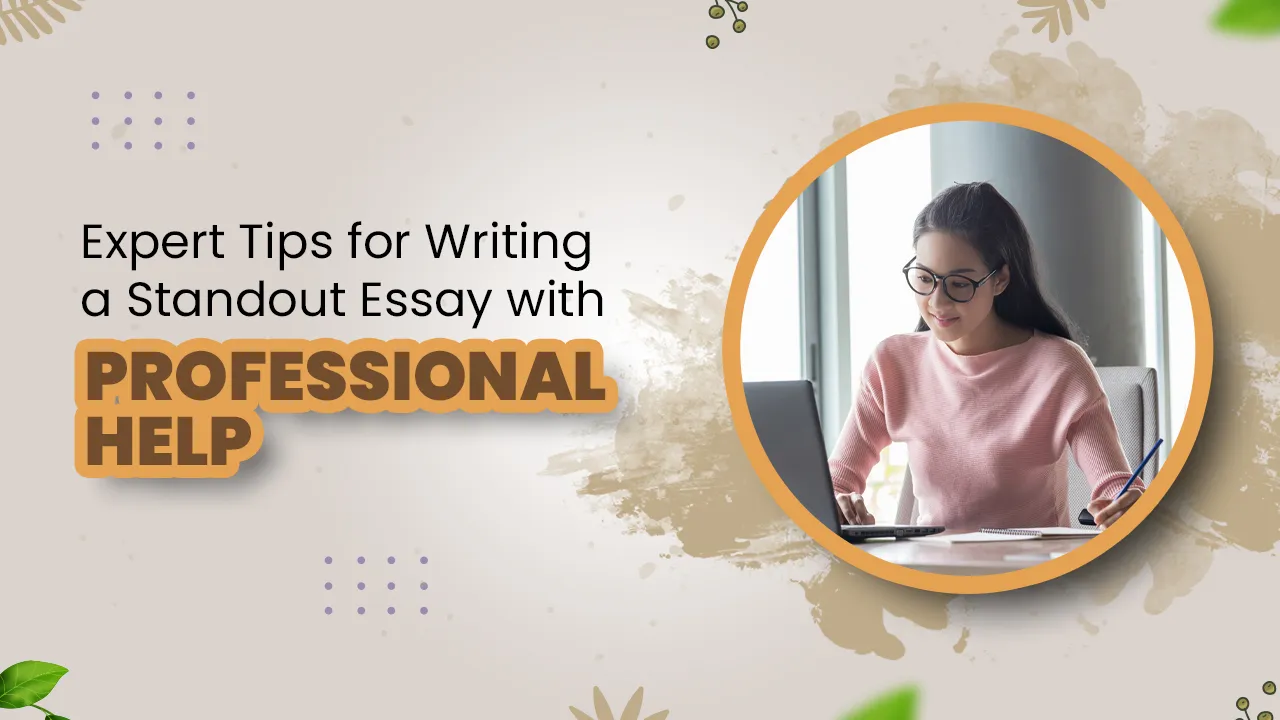 essay writing help