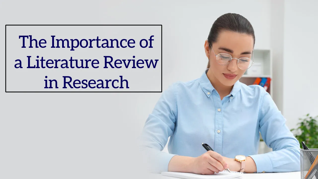 literature review writing services